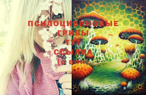 синтетический гашиш Армянск